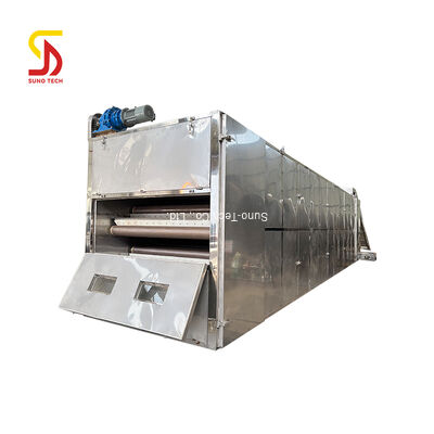 Automatic Multifunctional Mesh Belt Dryer for High Safety Level Drying of Biomass Residues