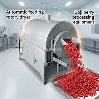 Longan And Goji Berry Rotary Drying Equipment Small Automatic Feeding Mini Rotary Dryer