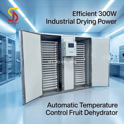 300w automatischer industrieller Dehydrator Maschine Tray Trocknungsofen für Mango Knoblauch Ingwer Banane Ananas