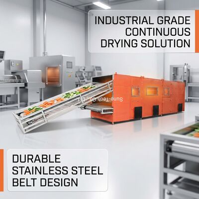 Multi Layer Steam Heated Belt Dryer with Stainless Steel Belts and Automatic Temperature Control for High Efficiency Drying