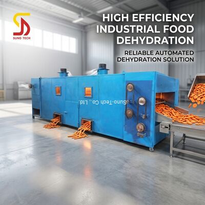 High Efficiency Energy Saving Stainless Steel Mesh Belt Dryer for Industrial Food Dehydration