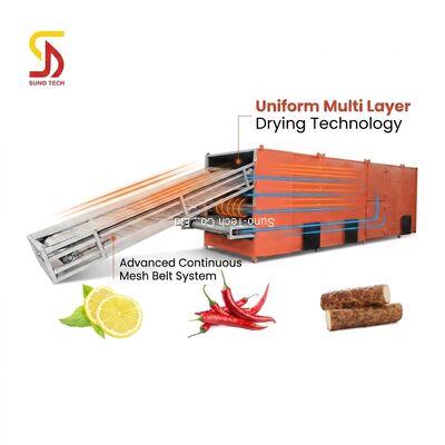 Single Layer and Multi Layer Continuous Mesh Belt Dryer for Energy Saving Hot Air Drying of Chili Blocks and Potato Chips
