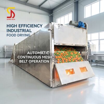 High Efficiency Automatic Mesh Belt Dryer for Industrial Food and Vegetable Drying with Energy Saving Features