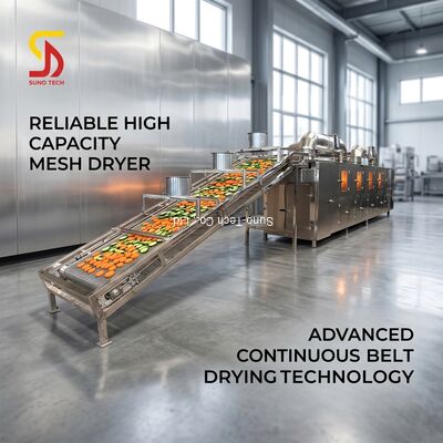 Automatic Energy Saving High Efficiency Mesh Belt Dryer Industrial Drying Machine
