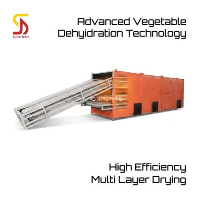 Multi Layer Energy Saving Mesh Belt Dryer with PLC Control for Food and Vegetable Drying