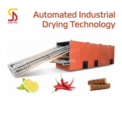 Automatic Multifunctional Mesh Belt Dryer with High Safety Level for Continuous Drying of Grains and Tea