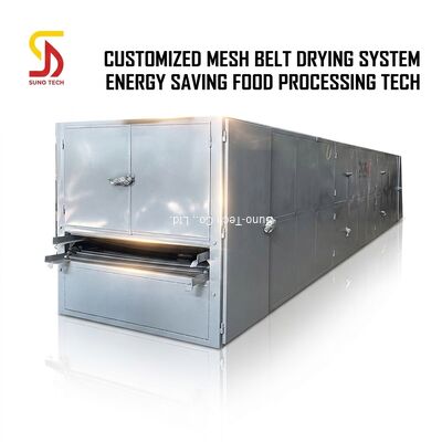 Customized High Efficiency Low Cost Mesh Belt Dryer for Food Vegetable Fruit Dehydration