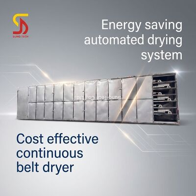 High Efficiency Low Cost Wire Belt Dryer with Carbon Steel/SS304/SS316L Construction and 1 Year Warranty