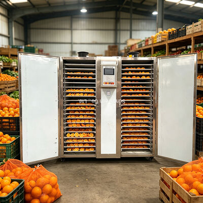 Fully Automatic Tray Drying Oven with 680w Dehumidifier, 400-600 kg Input Capacity and 350kg/h Evaporation Rate