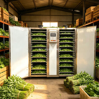 Energy Saving Chrysanthemum Drying Oven Tray Dryer Stevia Leaves Low Temperature Dehydration Machine
