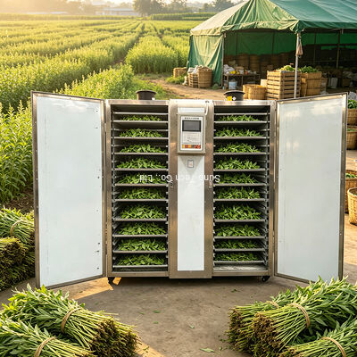 Customized Vegetable Dehydration Machine Green Leafy Vegetable and Pumpkin Drying Oven