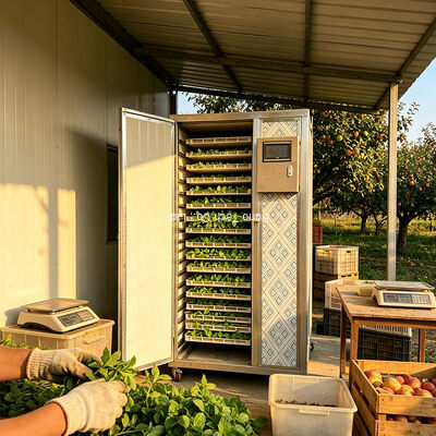 Low Energy Consumption Heat Pump Tea Dehydration Equipment Peppermint Chamomile Drying Oven