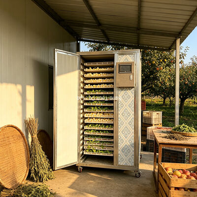 Commercial Food Dehydrator Automatic Tropical Fruit Dehydrator Mango Lychee Banana Fig Pineapple Guava Dehydrator